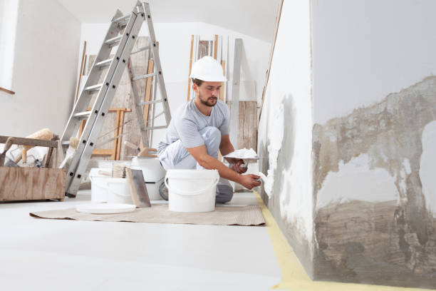 Best Black Mold Removal  in Country Clu, MO