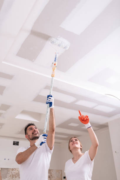 Best Water Damage & Mold Remediation  in Country Clu, MO