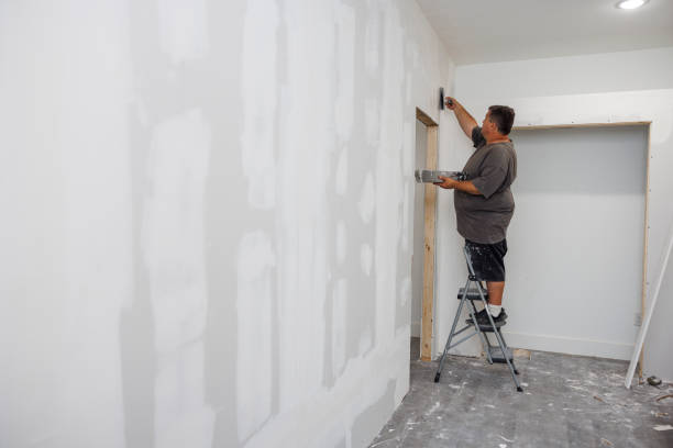 Best Basement Mold Removal  in Country Clu, MO