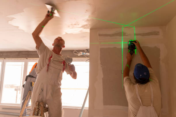 Best Real Estate Mold Inspection  in Country Clu, MO