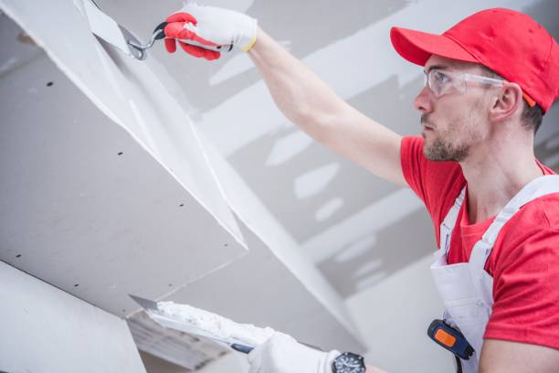 Best Emergency Mold Remediation  in Country Clu, MO
